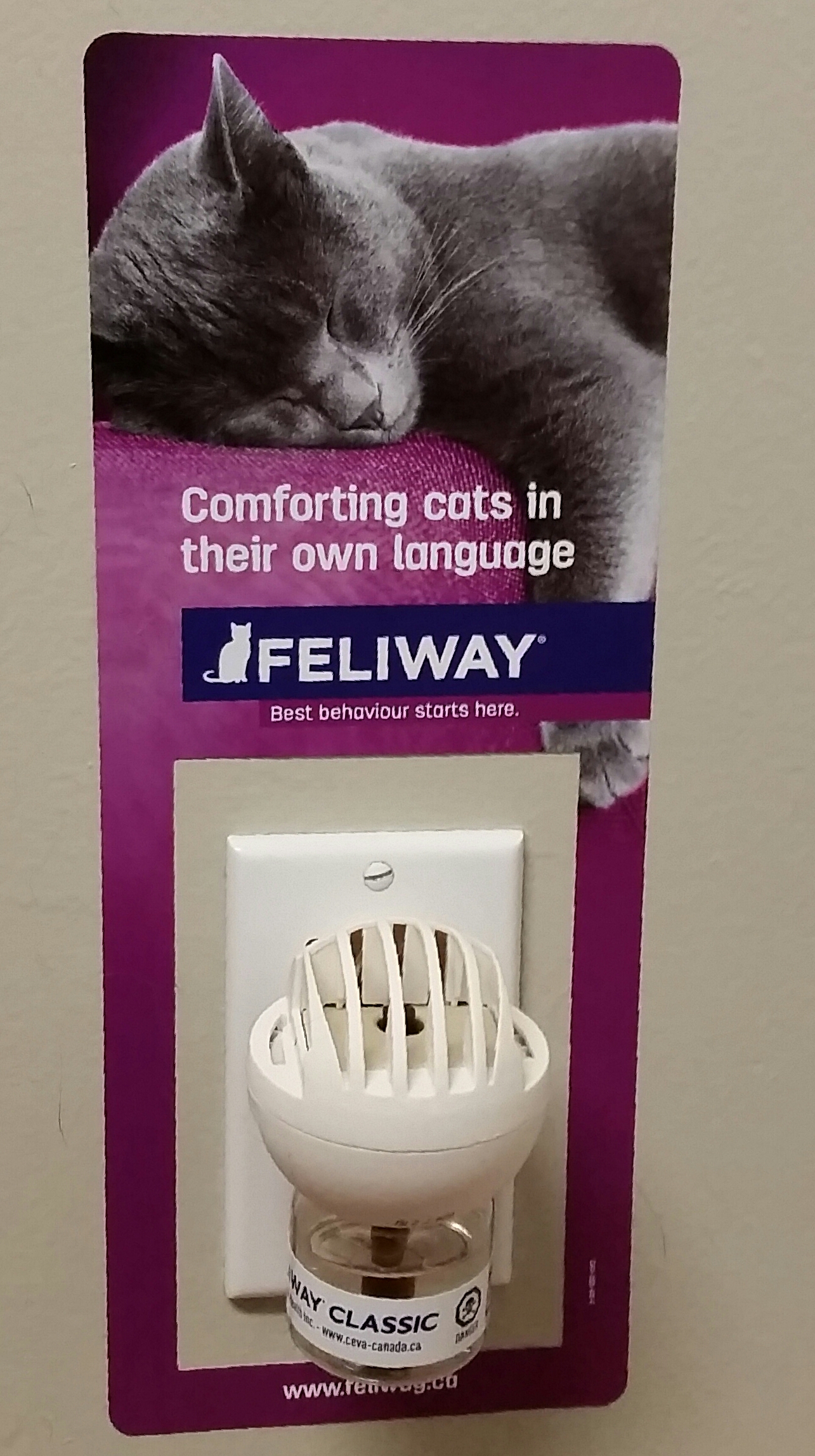 Feliway towel outlet