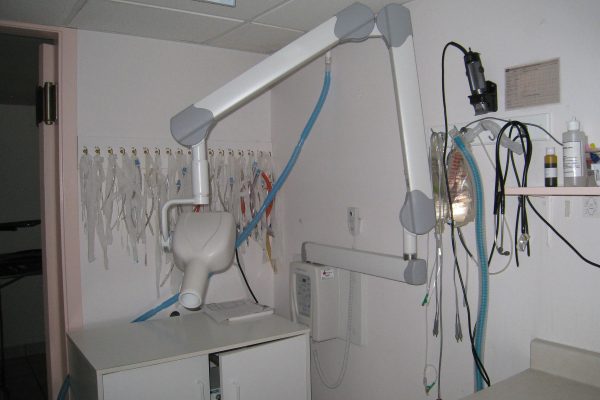 Dental X-Ray